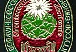 Значок ВОКЛК