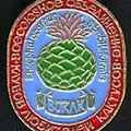 Значок ВОКЛК
