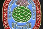 Значок ВОКЛК
