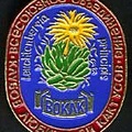 Значок ВОКЛК
