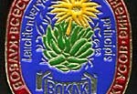 Значок ВОКЛК