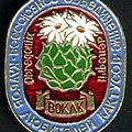 Значок ВОКЛК