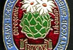 Значок ВОКЛК