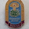 Значок ВОКЛК