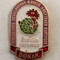 Значок ВОКЛК