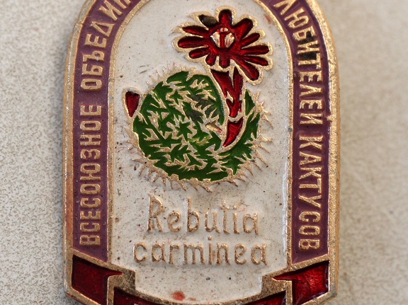 Значок ВОКЛК