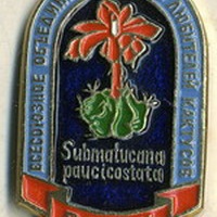 Значок ВОКЛК