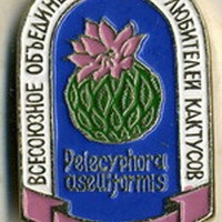 Значок ВОКЛК