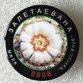 Zaletaevana 2008