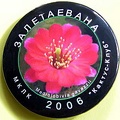 Zaletaevana  2006