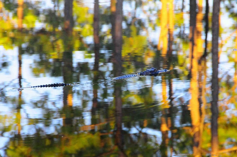 DSC_0279.jpg