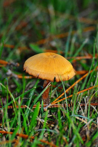 DSC_0370.jpg