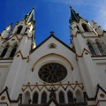 DSC 0461   -