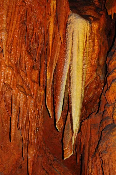 DSC_0893.jpg