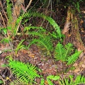 JPG_9576.jpg