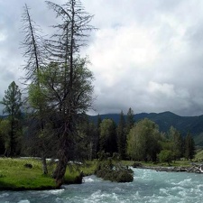 Поездка Анны Емельяновой на Алтай, июль 2009 
