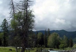 Поездка Анны Емельяновой на Алтай, июль 2009 
