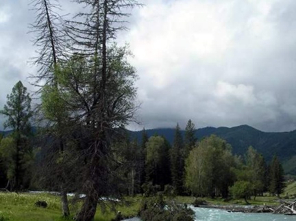 Поездка Анны Емельяновой на Алтай, июль 2009 