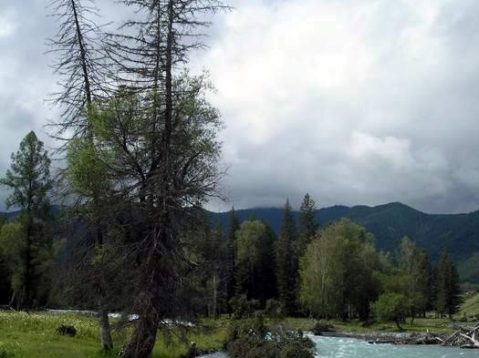 Поездка Анны Емельяновой на Алтай, июль 2009 
