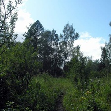 Поездка Анны Емельяновой на Алтай, июль 2009