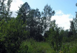 Поездка Анны Емельяновой на Алтай, июль 2009