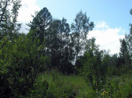 Поездка Анны Емельяновой на Алтай, июль 2009