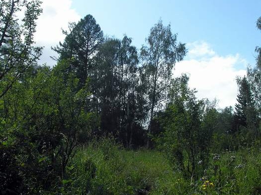 Поездка Анны Емельяновой на Алтай, июль 2009