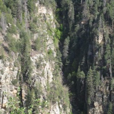 Аризона (США), 2009
