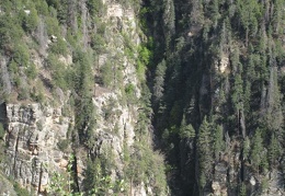 Аризона (США), 2009