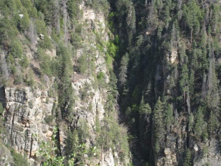 Аризона (США), 2009
