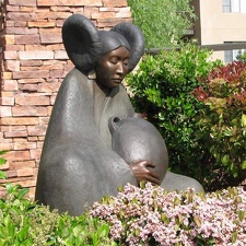 Аризона (США), 2009