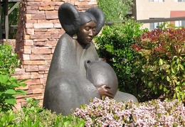 Аризона (США), 2009