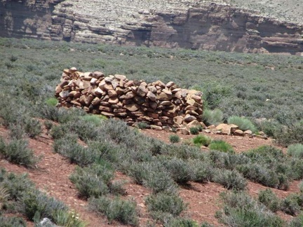 Аризона (США), 2009