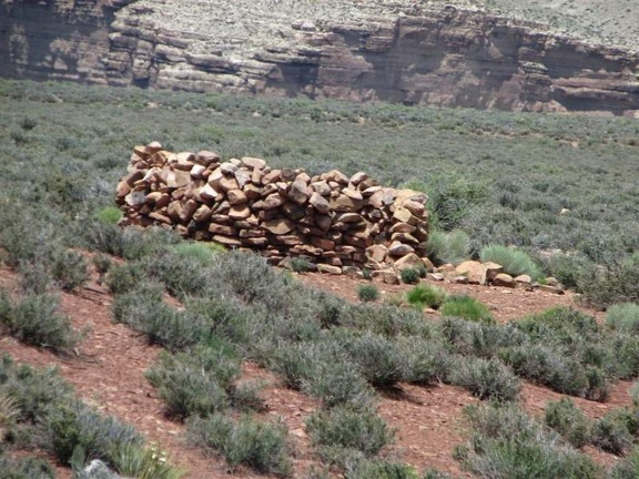 Аризона (США), 2009