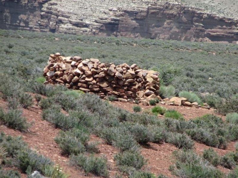 Аризона (США), 2009