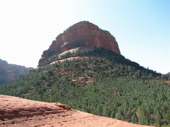 Аризона (США), 2009