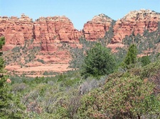 Аризона (США), 2009