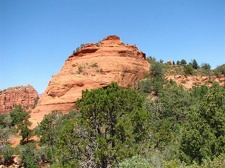 Аризона (США), 2009