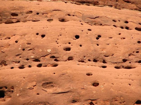 Аризона (США), 2009