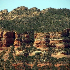 Аризона (США), 2009