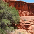 arizona_050.JPG