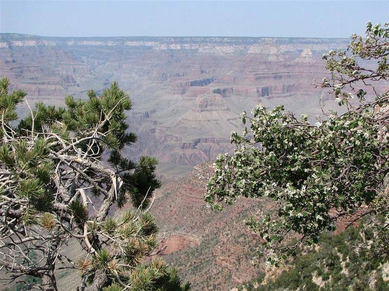 arizona_060.JPG