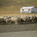 Поездка Сергея Червинко  в Чили, Аргентину зимой 2007