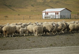 Поездка Сергея Червинко  в Чили, Аргентину зимой 2007