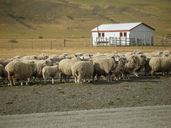 Поездка Сергея Червинко  в Чили, Аргентину зимой 2007