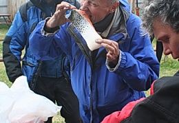 Поездка Сергея Червинко  в Чили, Аргентину зимой 2007