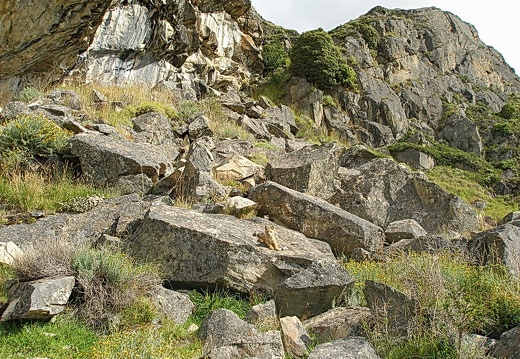 Поездка Сергея Червинко  в Чили, Аргентину зимой 2007