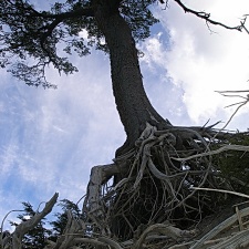 Поездка Сергея Червинко  в Чили, Аргентину зимой 2007