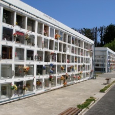 Поездка Сергея Червинко  в Чили, Аргентину зимой 2007