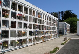 Поездка Сергея Червинко  в Чили, Аргентину зимой 2007
